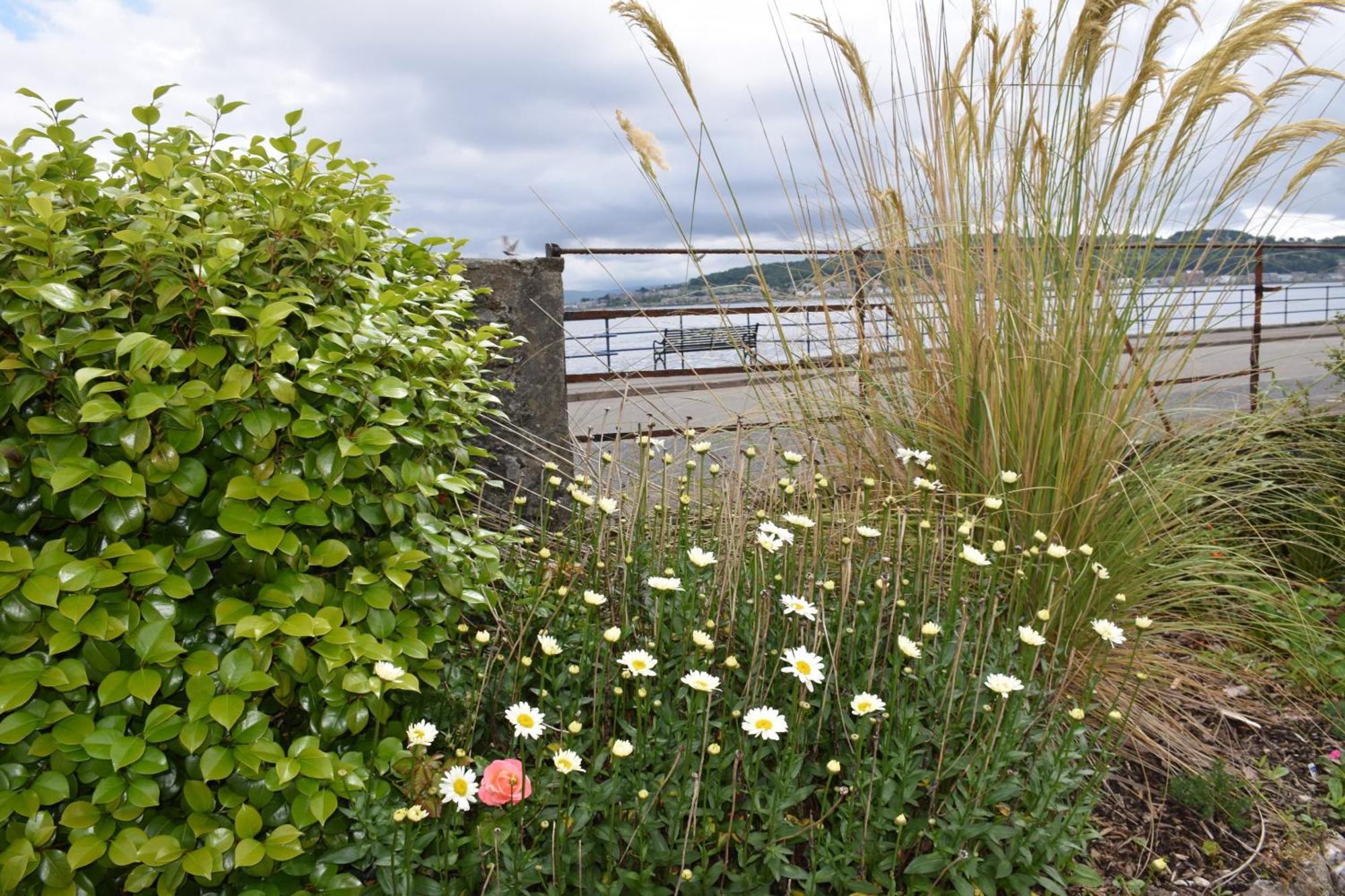 One Marine Place Port Bannatyne Exterior foto